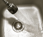 7 Things You Should Never Put Down Your Disposal
